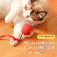 Automatic Smart Interactive Cat Ball with Rope, Silicone Pet Toy — view 4